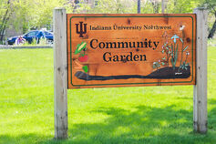 An entrance sign outside the IU Northwest Community Garden.